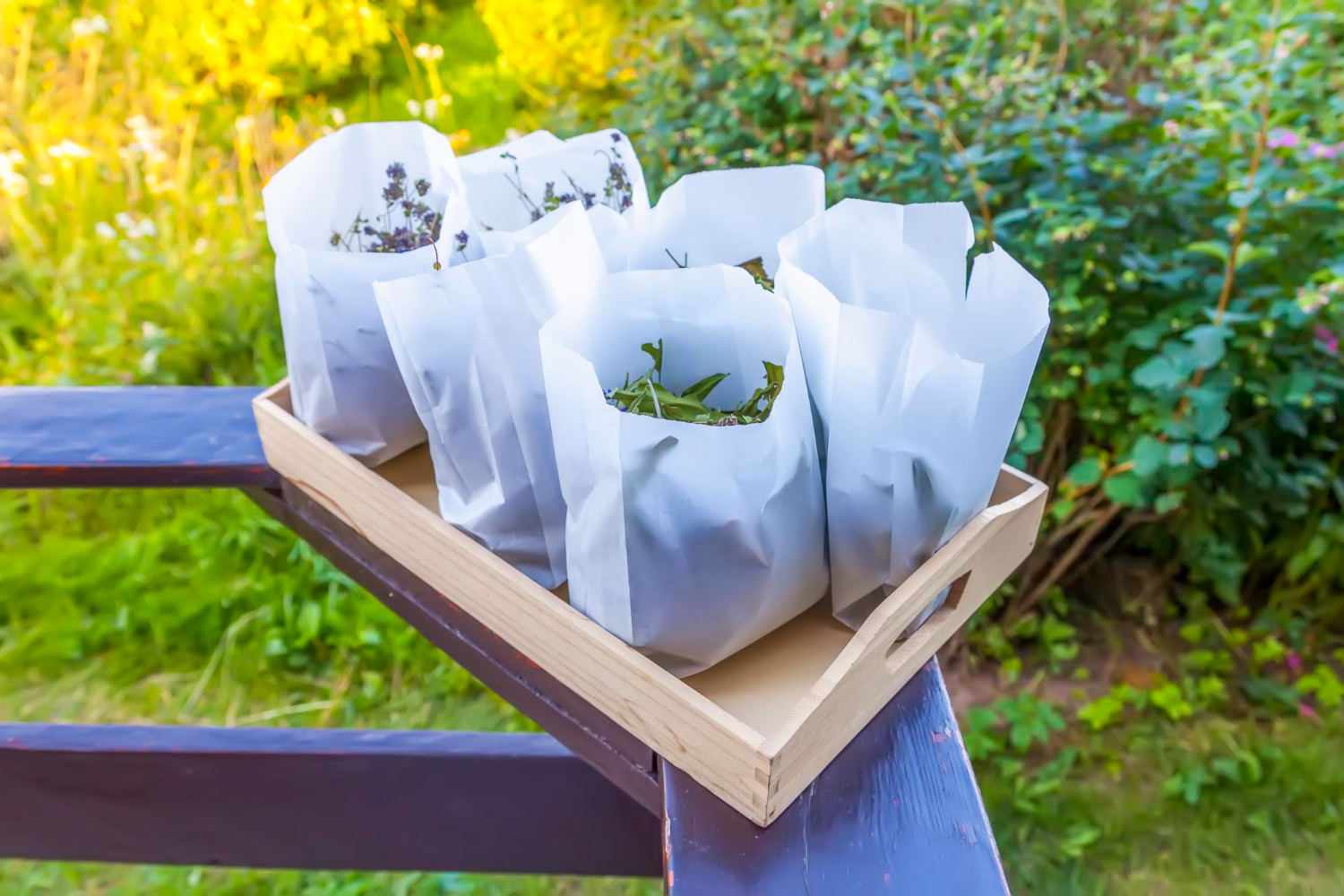 10 Foods U.S. Customs Will Confiscate When You Fly Home in 2026