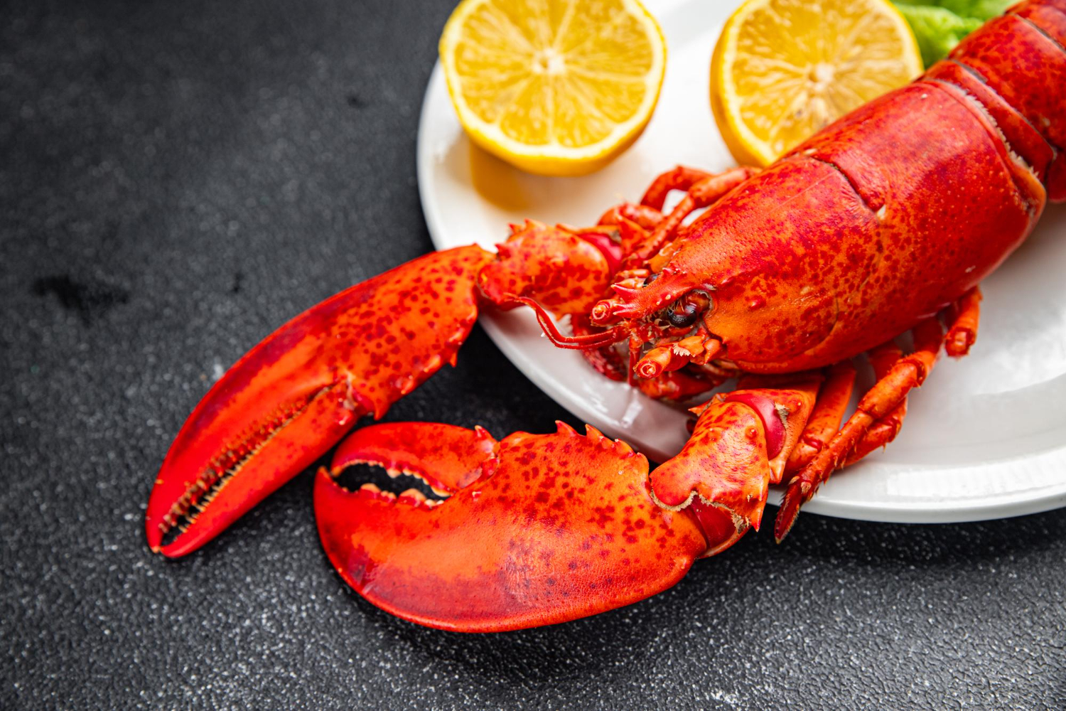 Lobster
