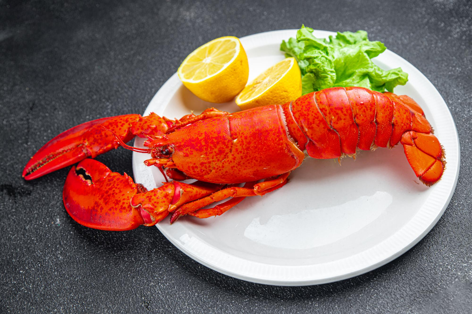 Lobster