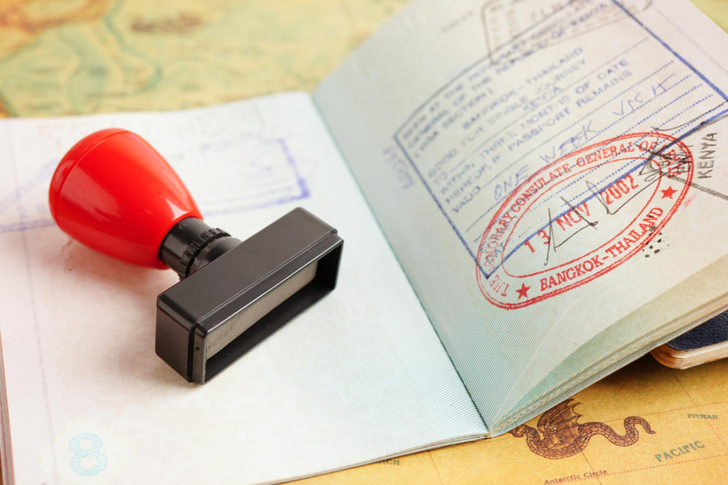 Passport Visa Stamp