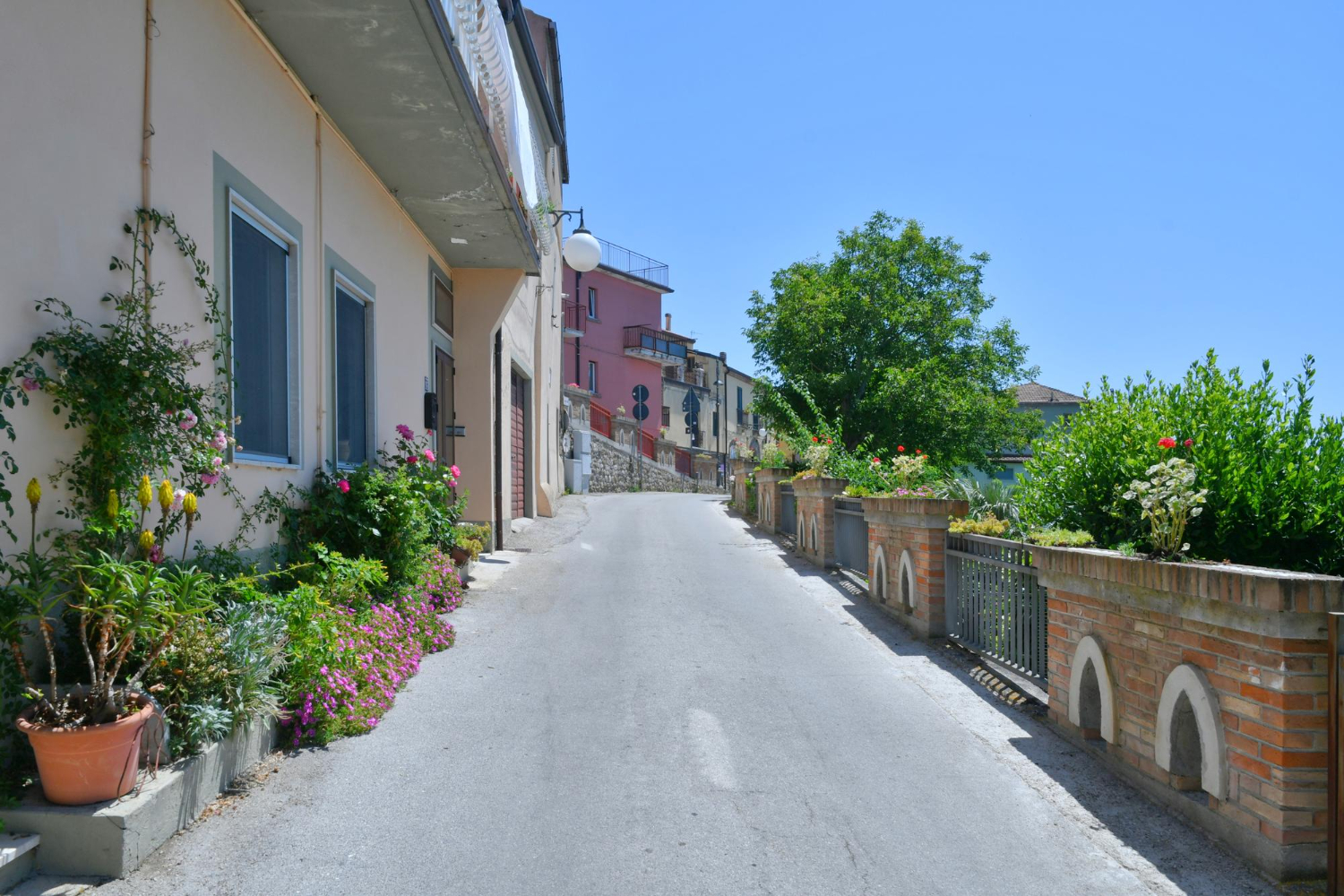 Village street