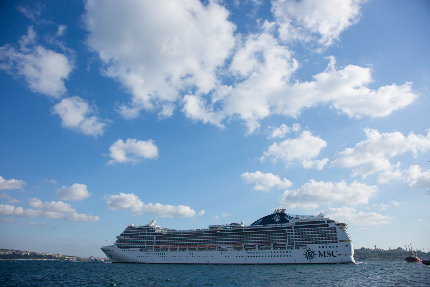 Cruise Ships