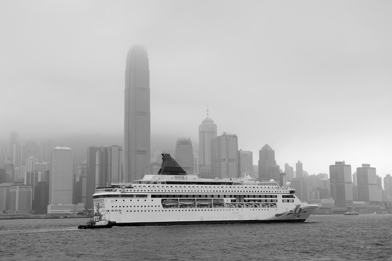 Cruise