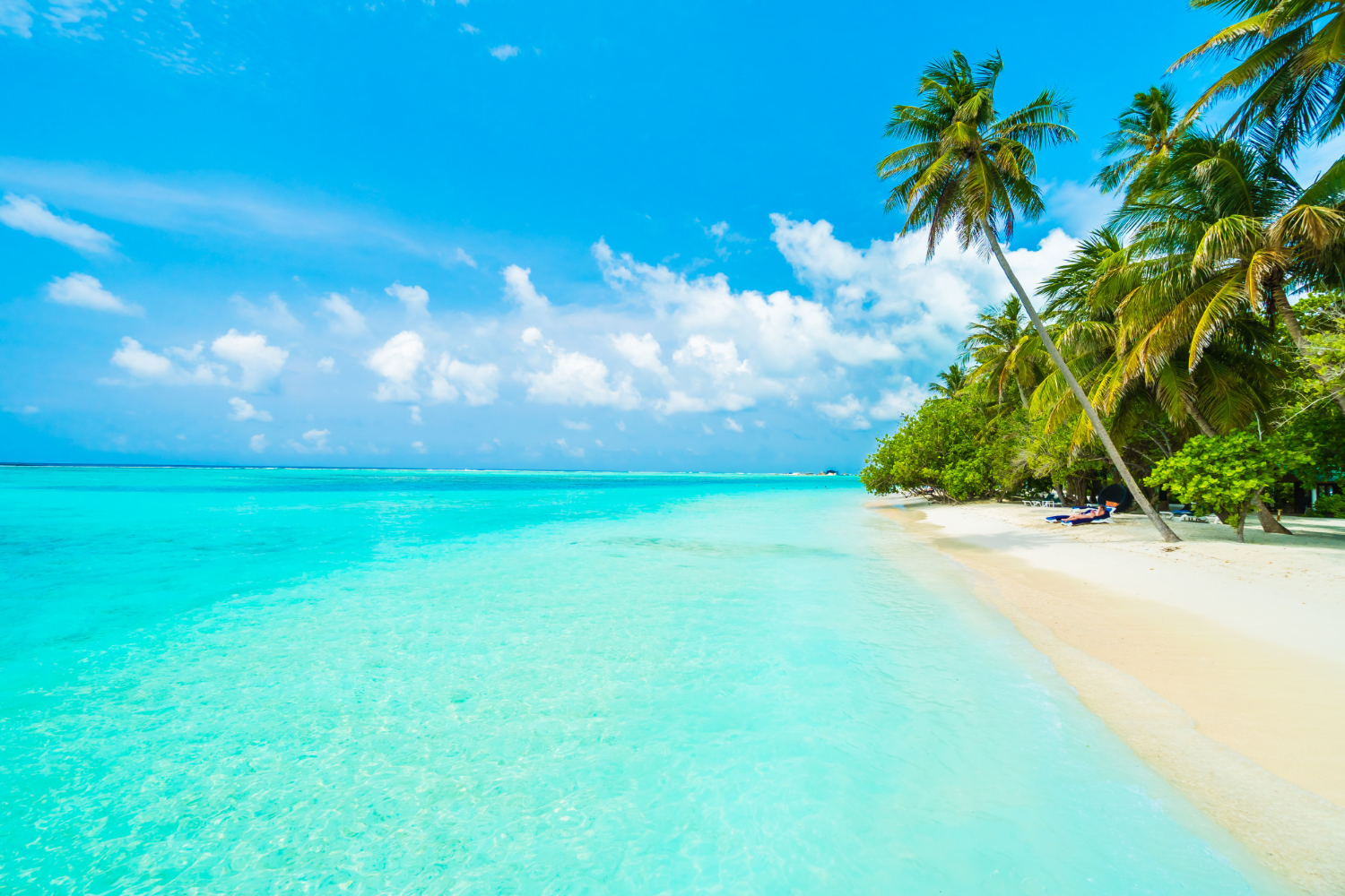 Beautiful Islands