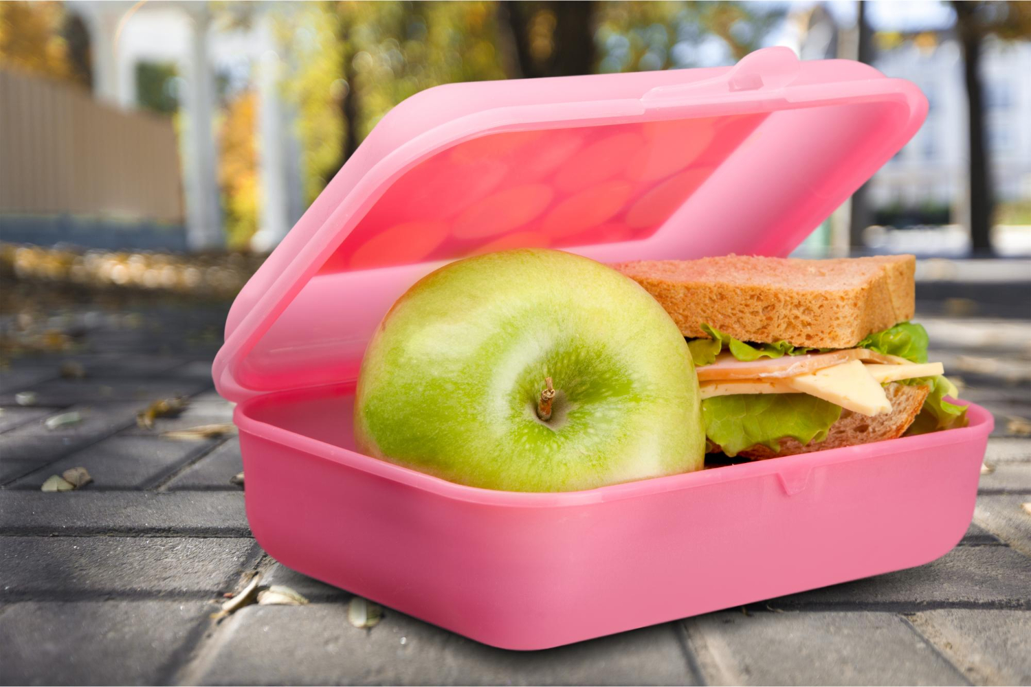 Lunchbox