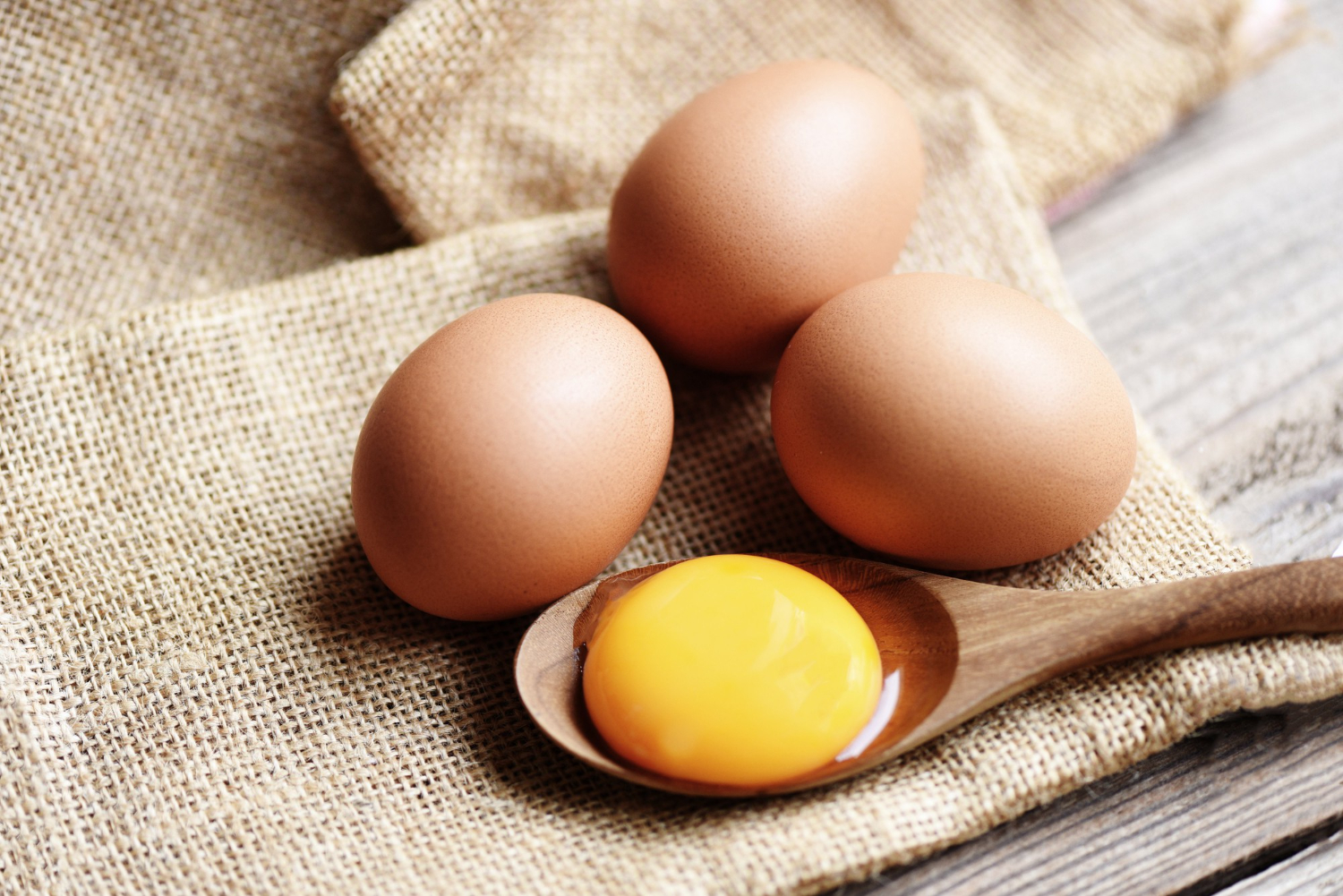 Fresh Eggs