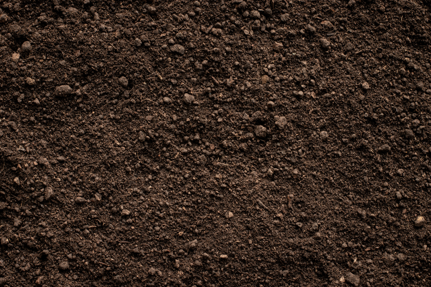 Soil