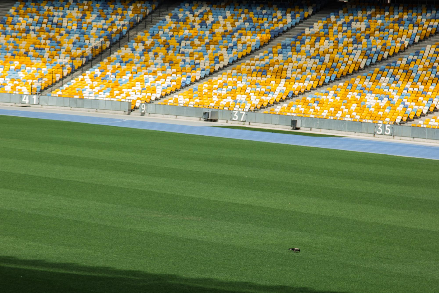 FIFA Stadium