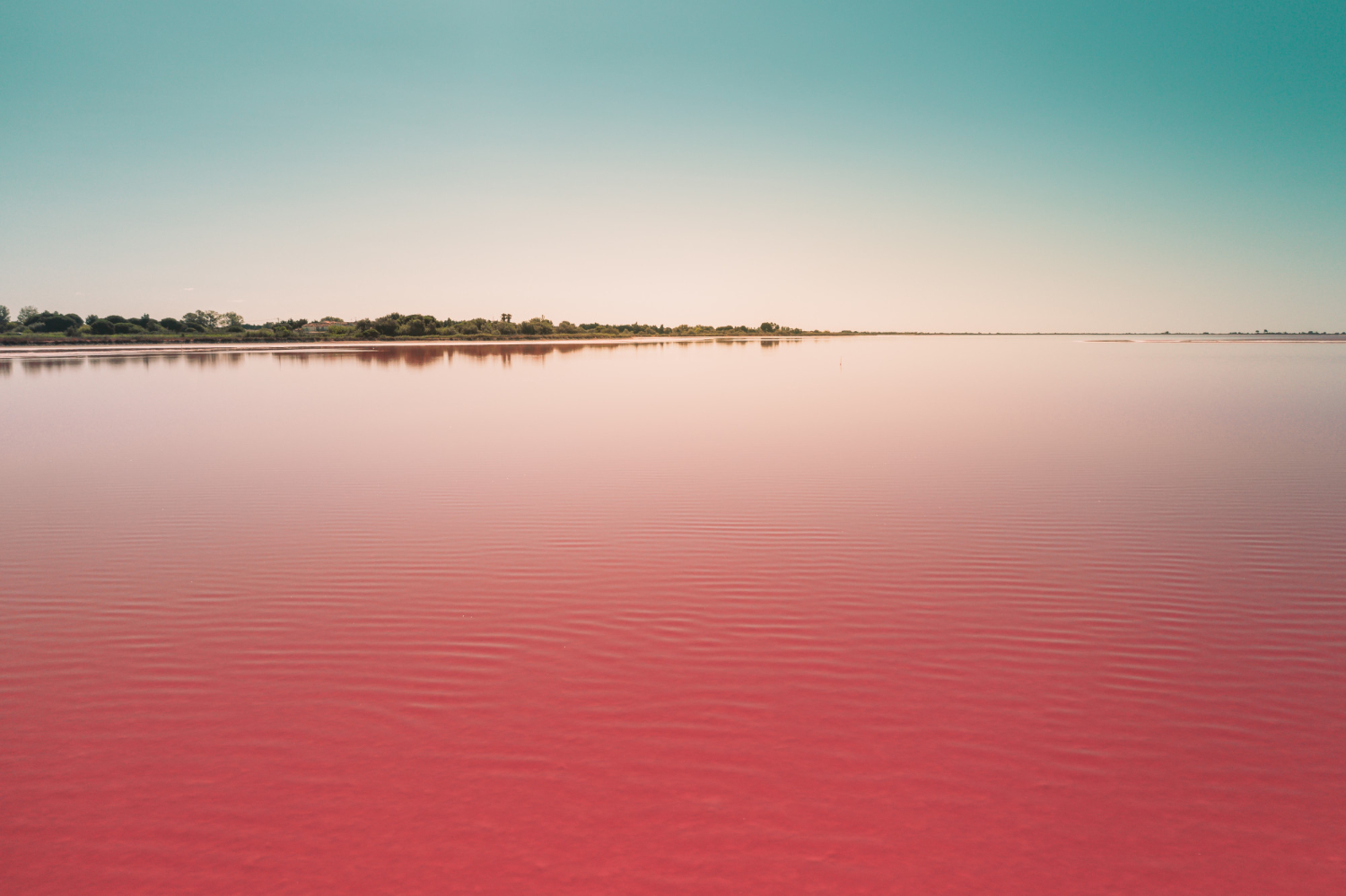 Lake Natron