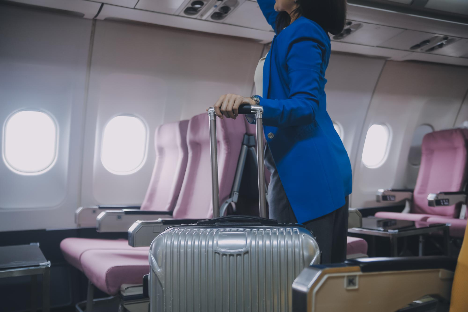 Flight Passenger