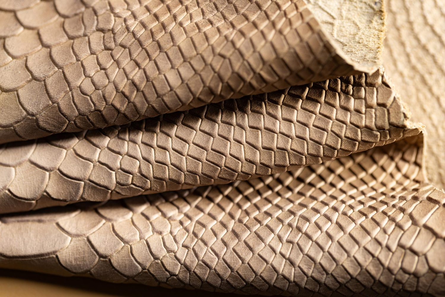 Exotic Leather