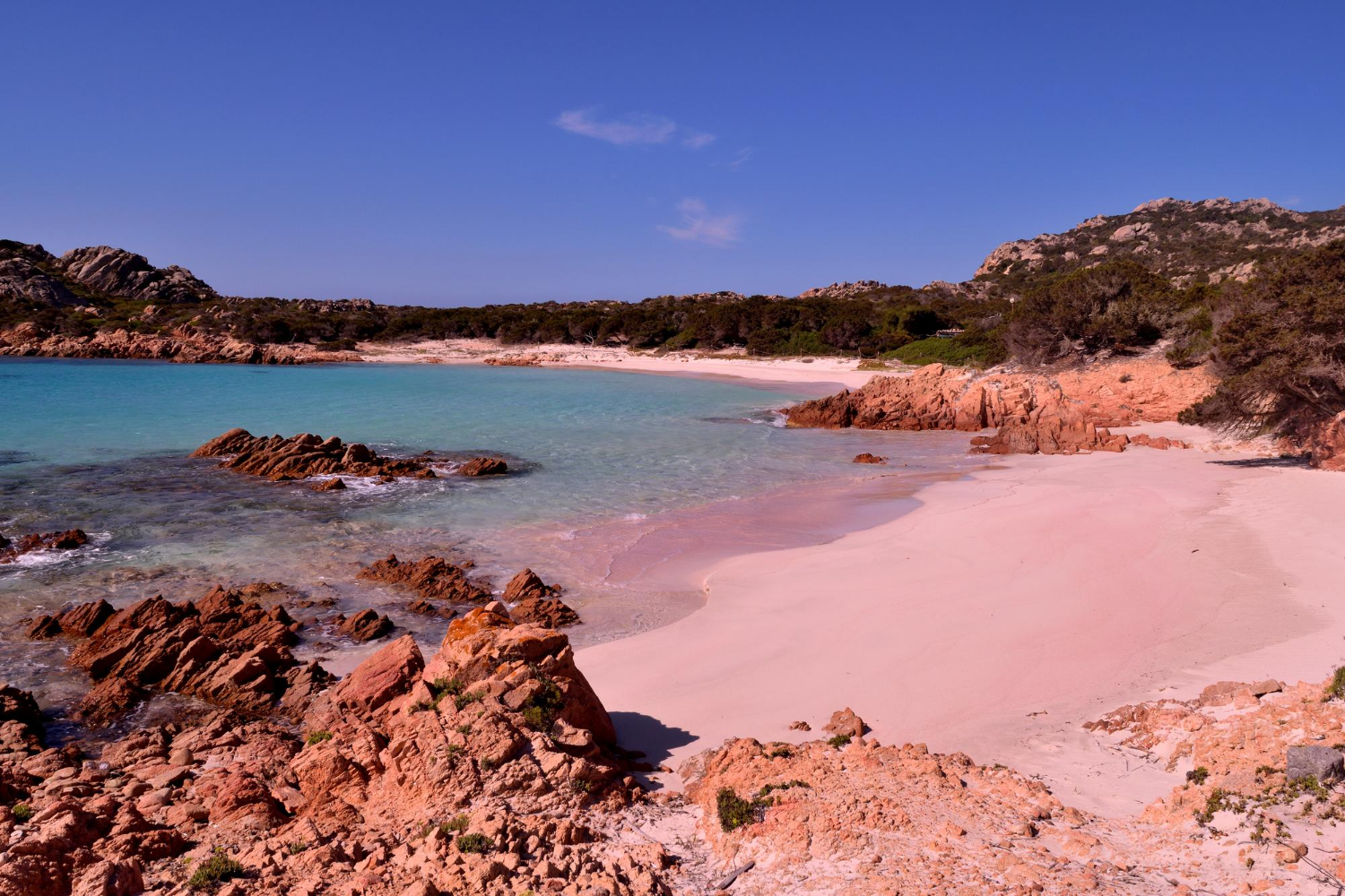 Pink-Hued Shores