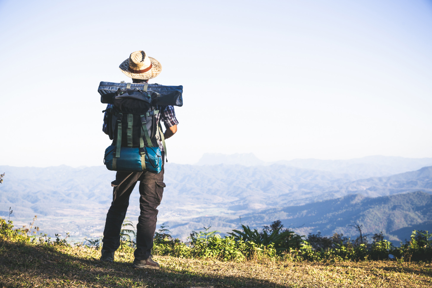 Traveler