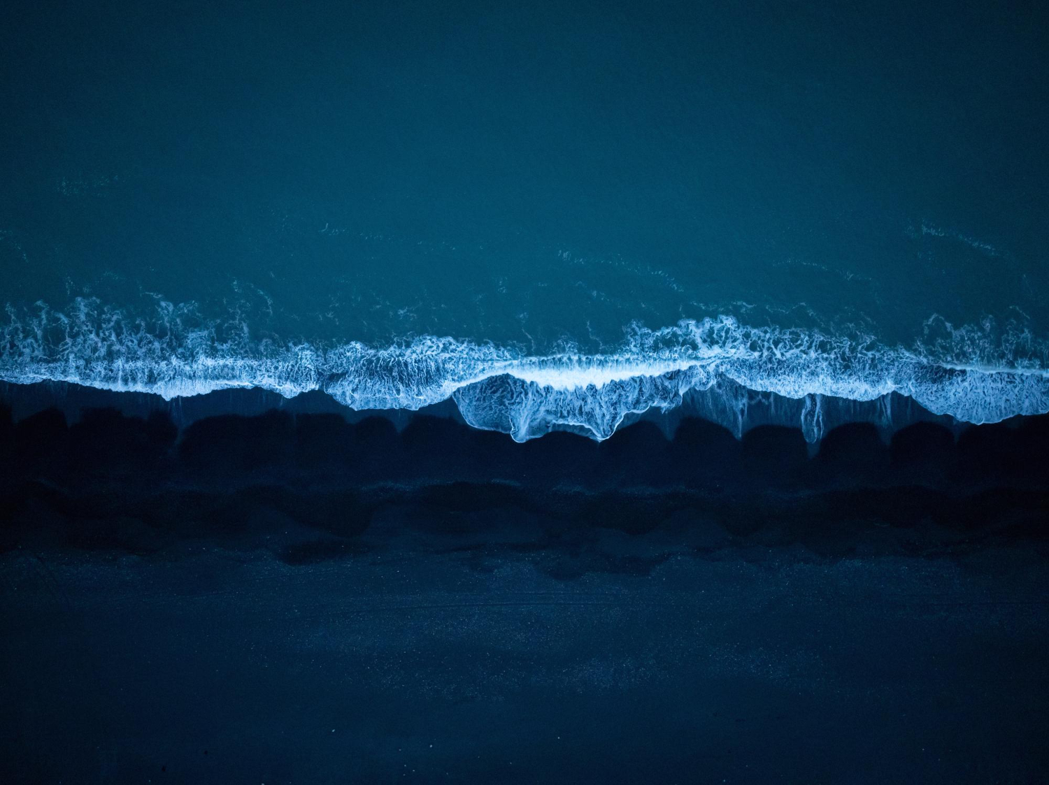 bioluminescent waves