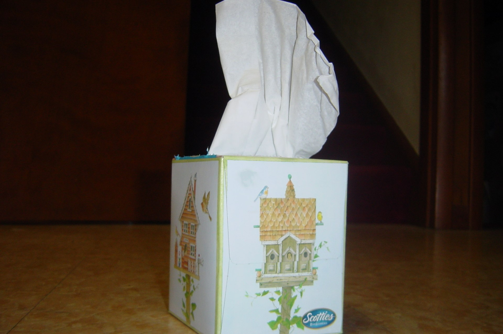 Tissue Box