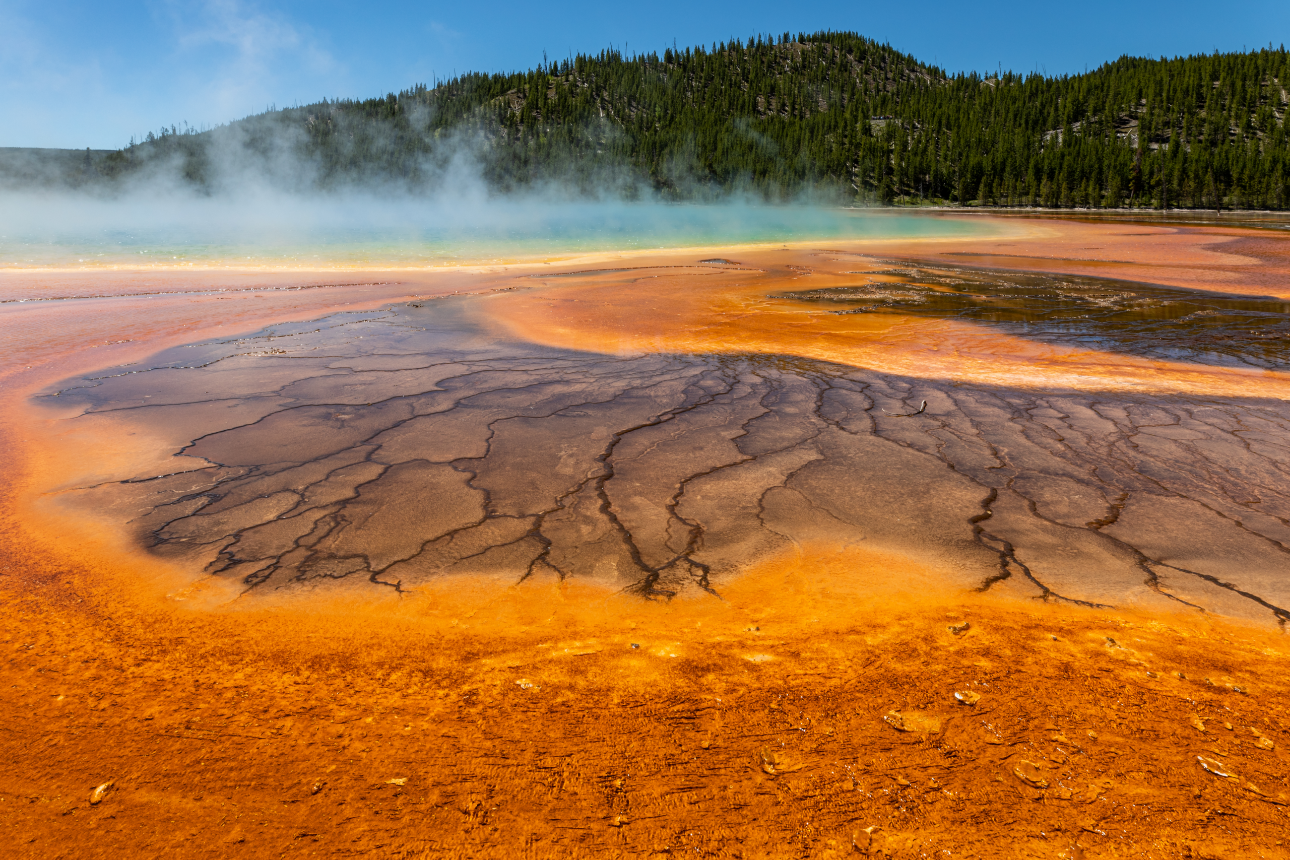 Yellowstone National Park