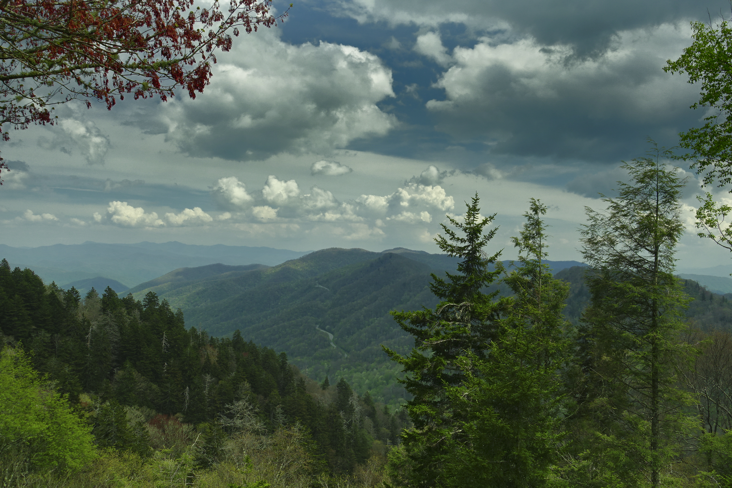 Great Smoky Mountains