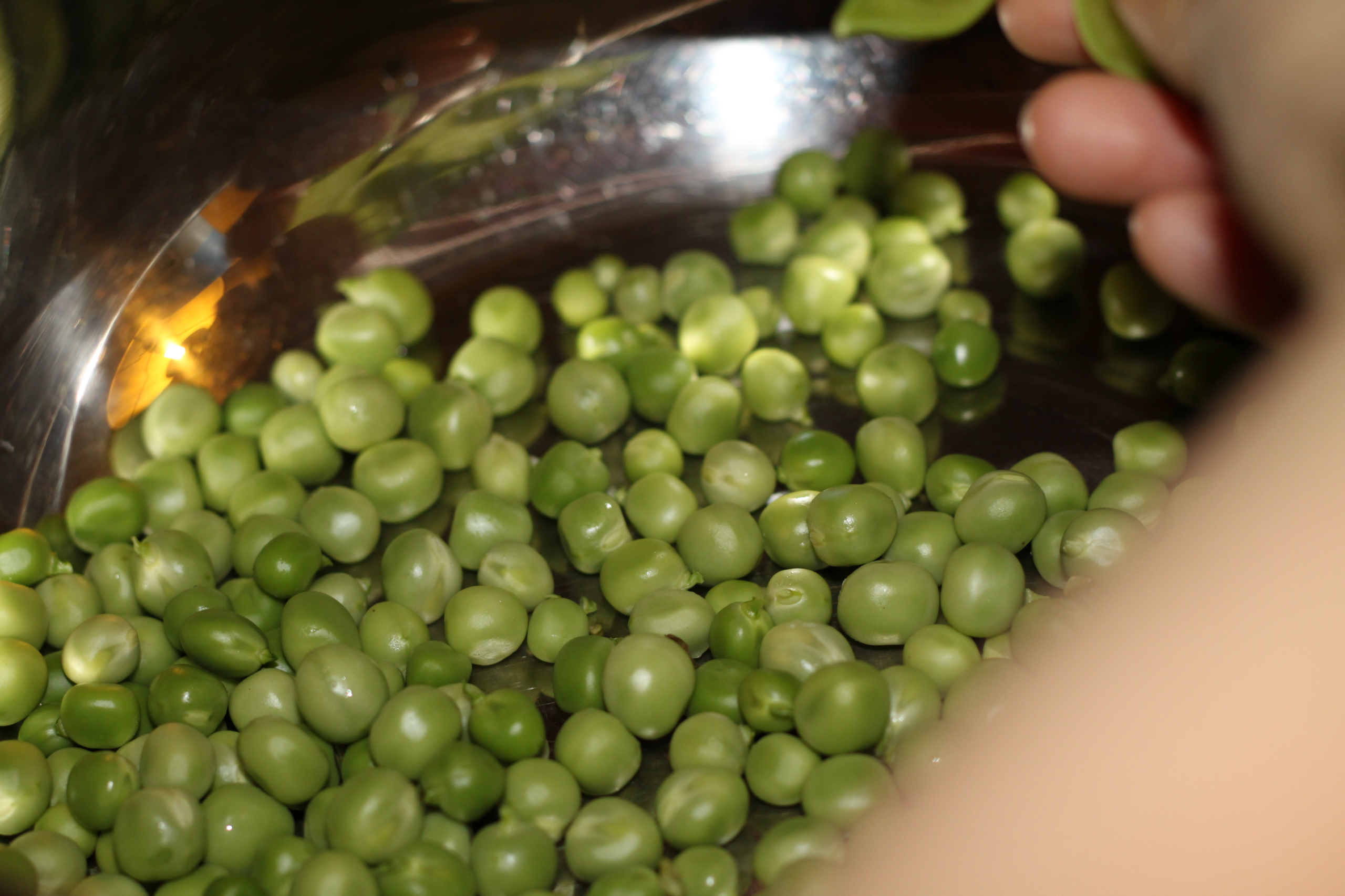 Shelling Peas