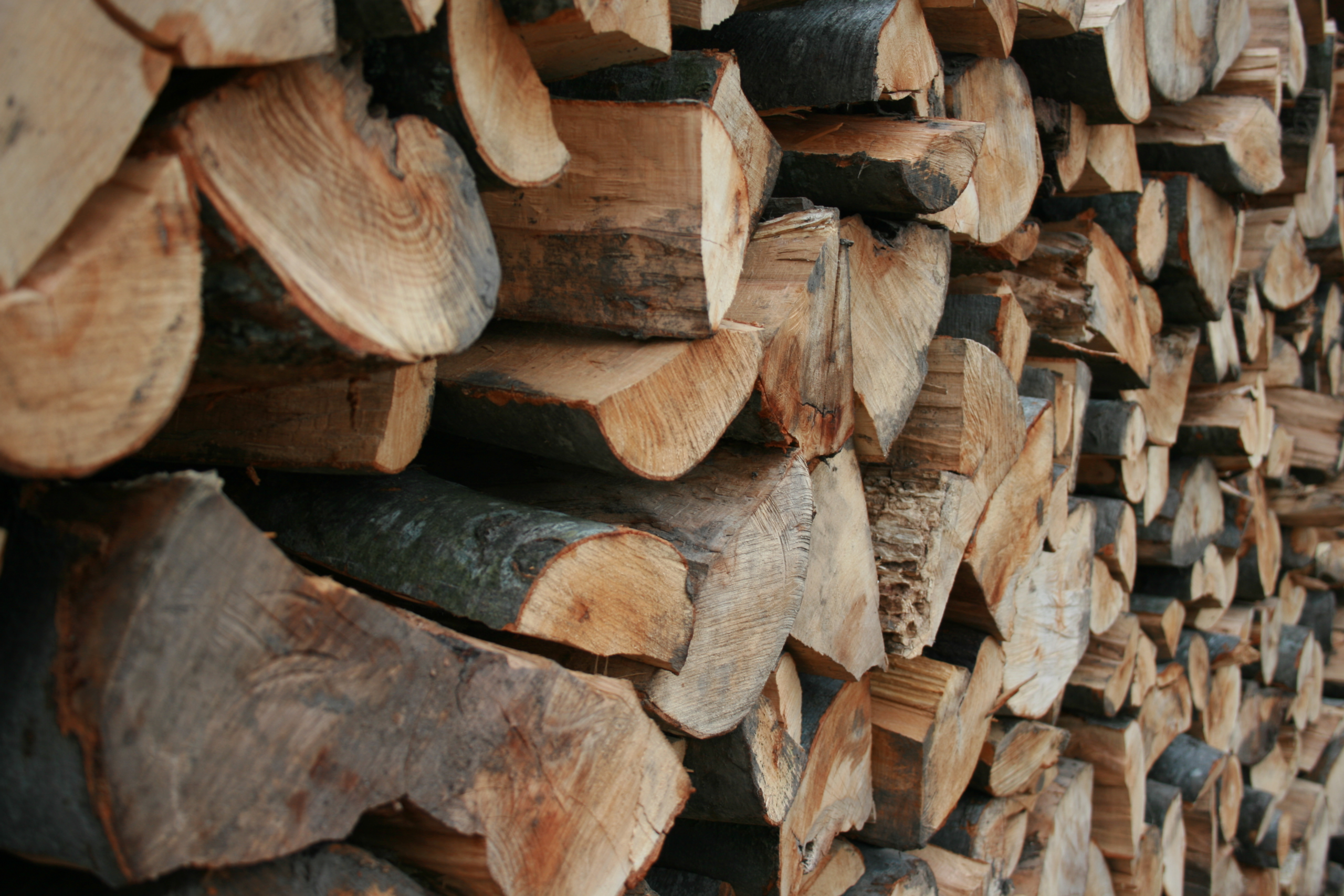 Filling the Wood