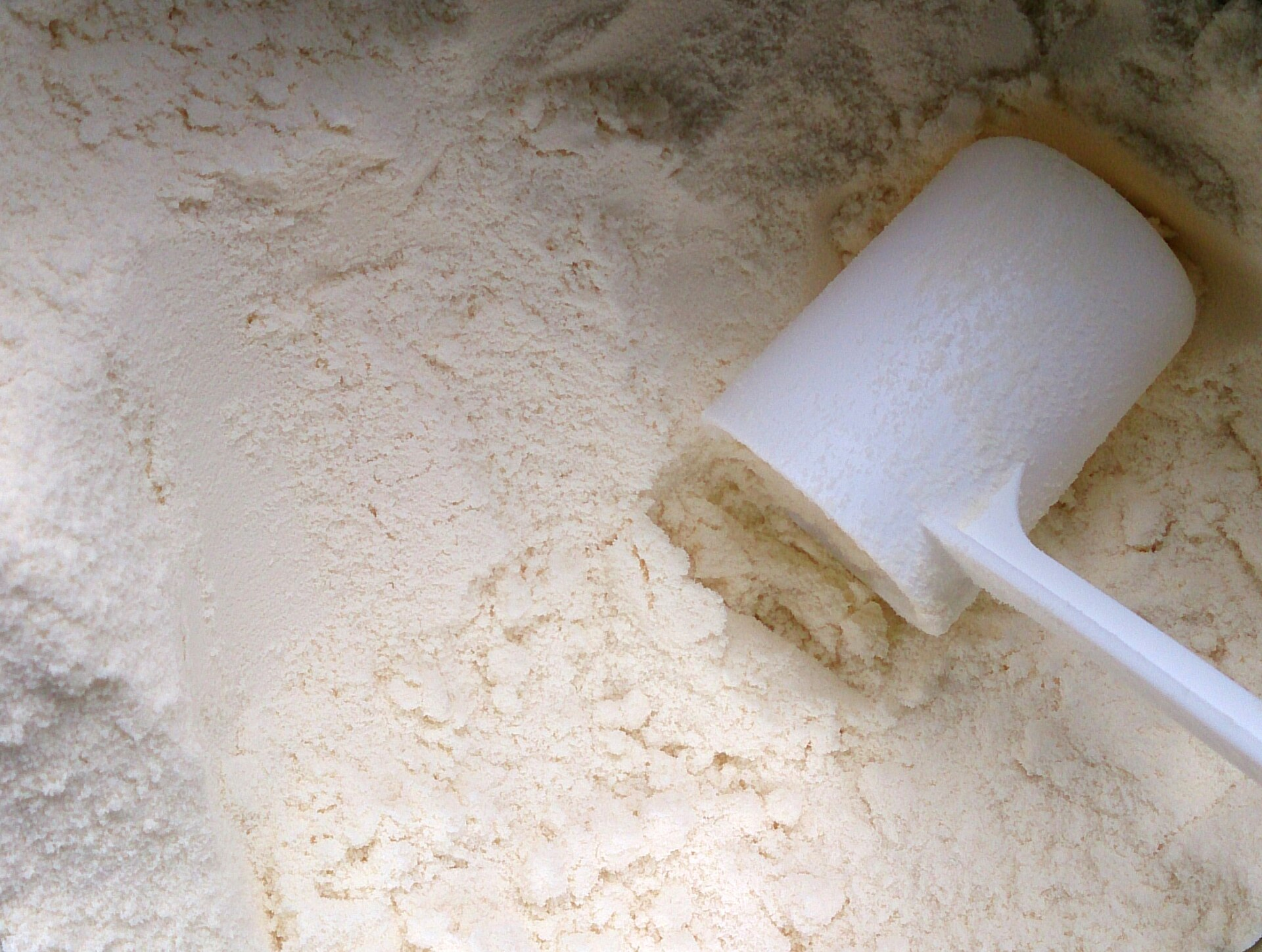Powdered milk