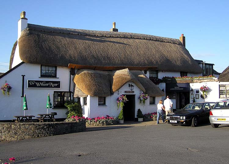 Adult Cocktails bar