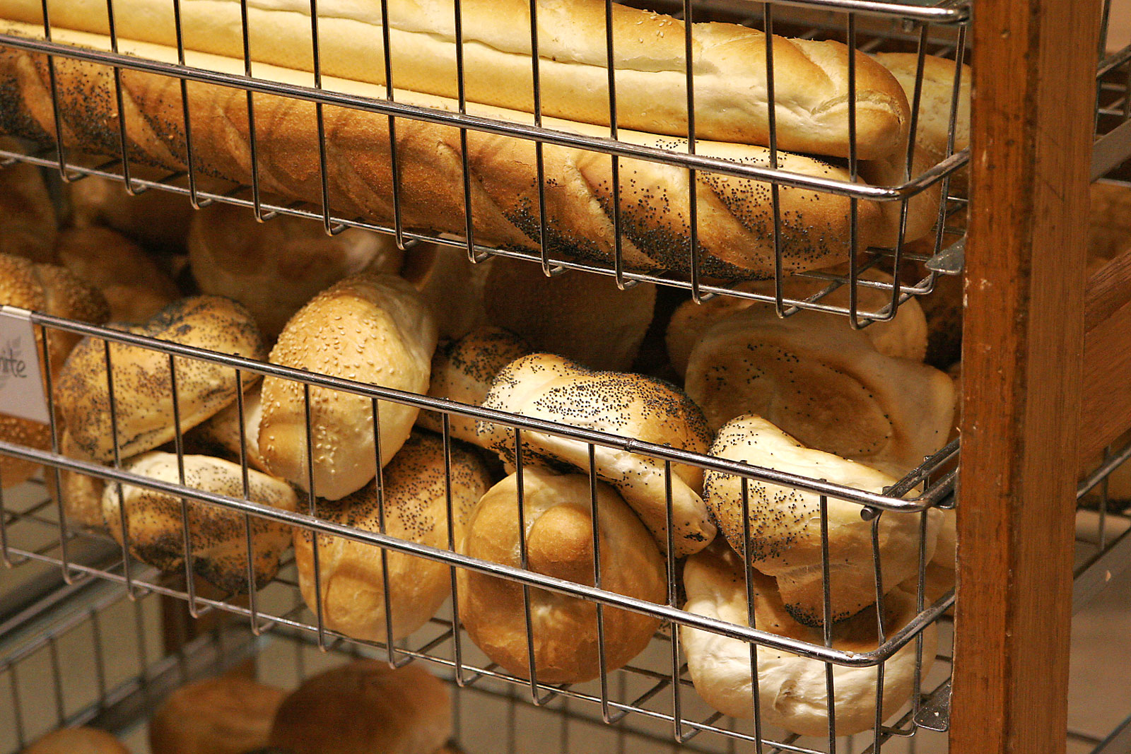 Dinner Rolls