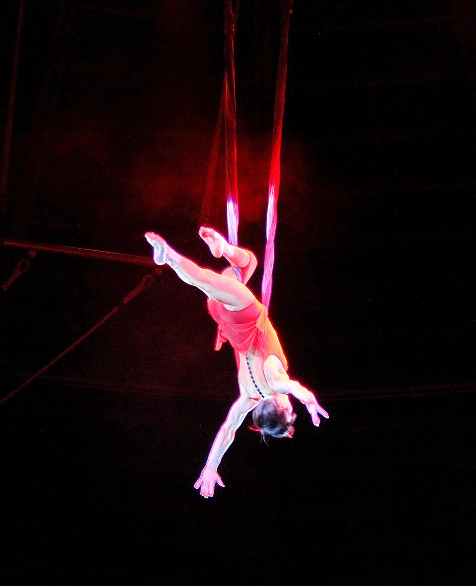 Circus