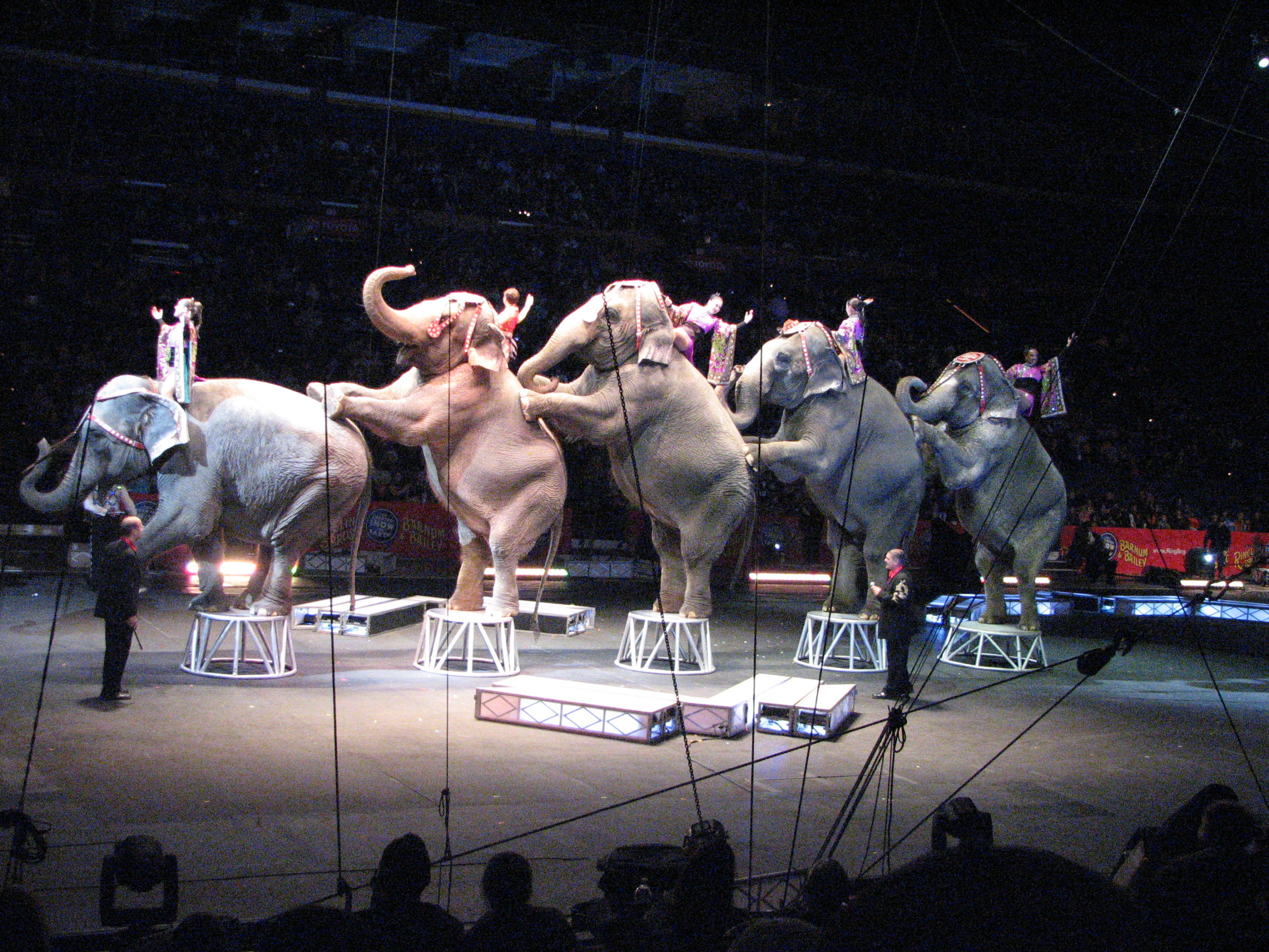 Circus