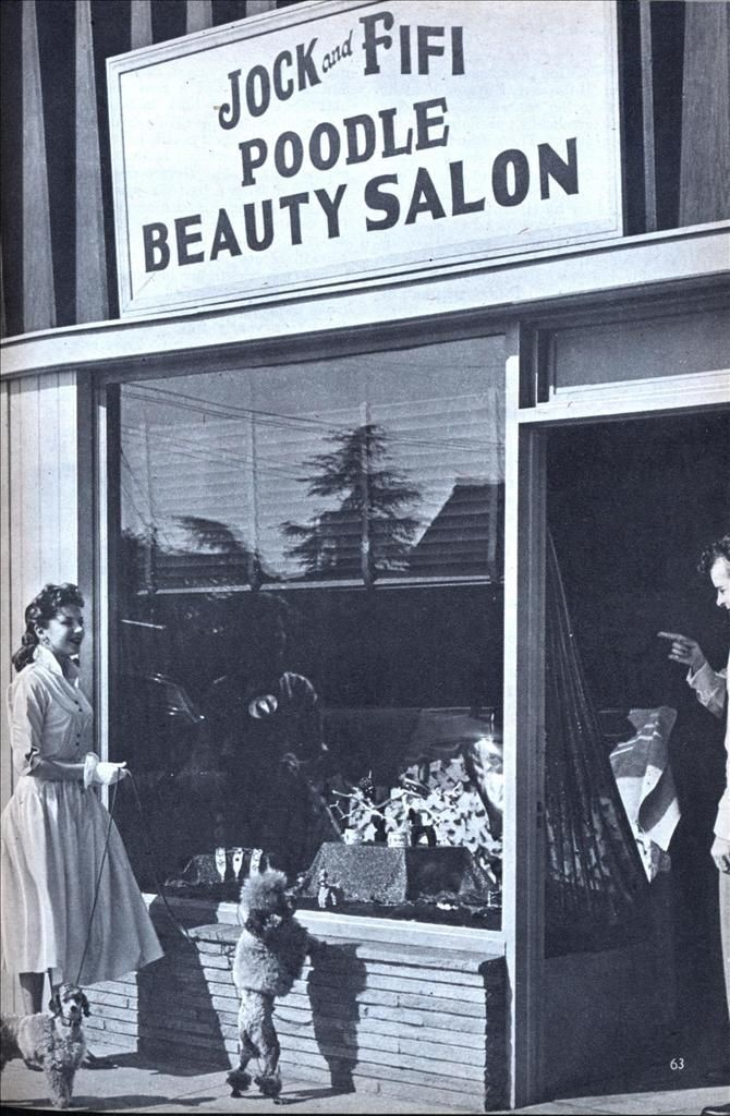Vintage Beauty Parlor