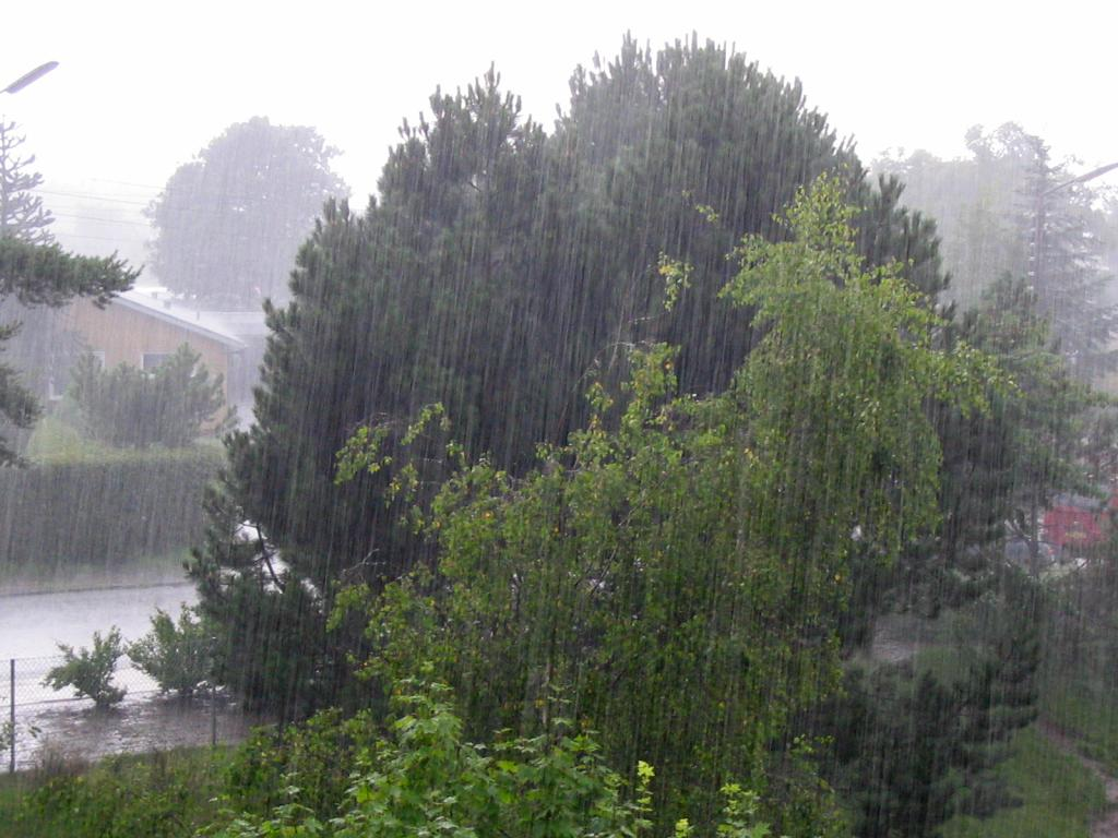Rain weather