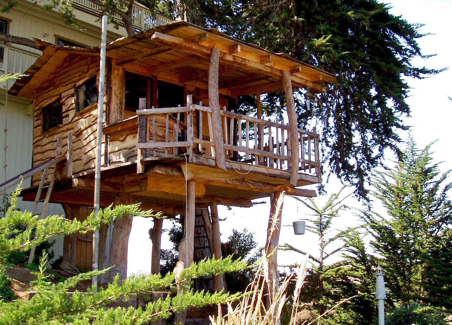 Tree House