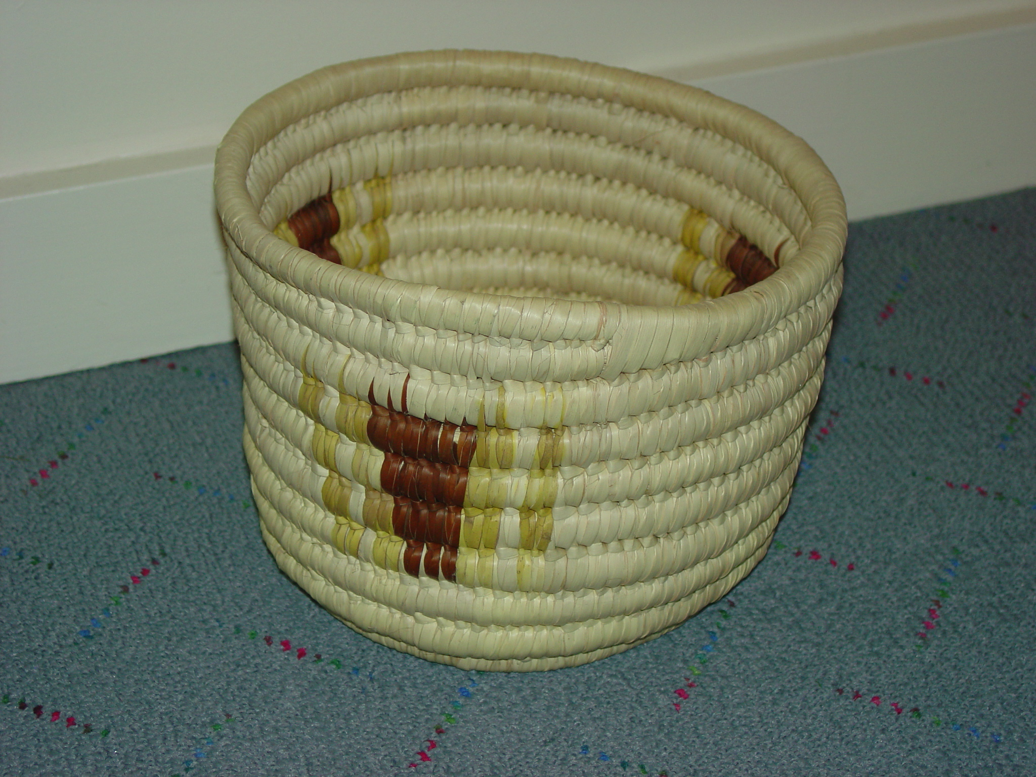 Dog Litter Box