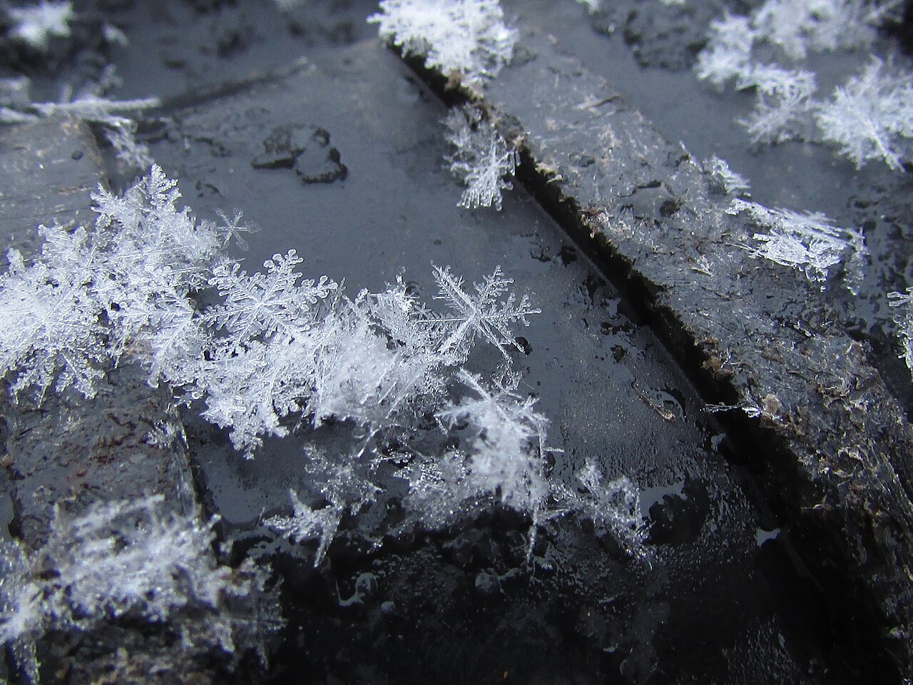 Snowflakes