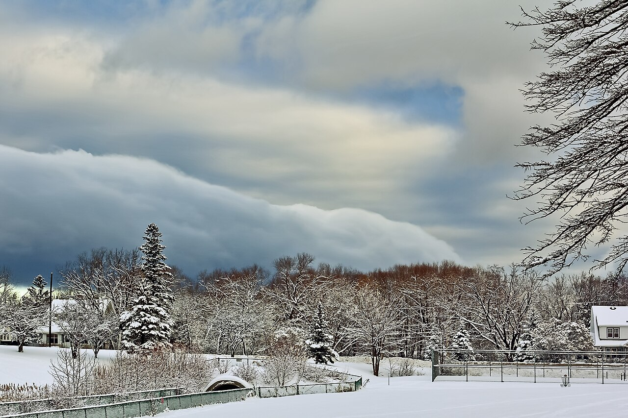Snow Day