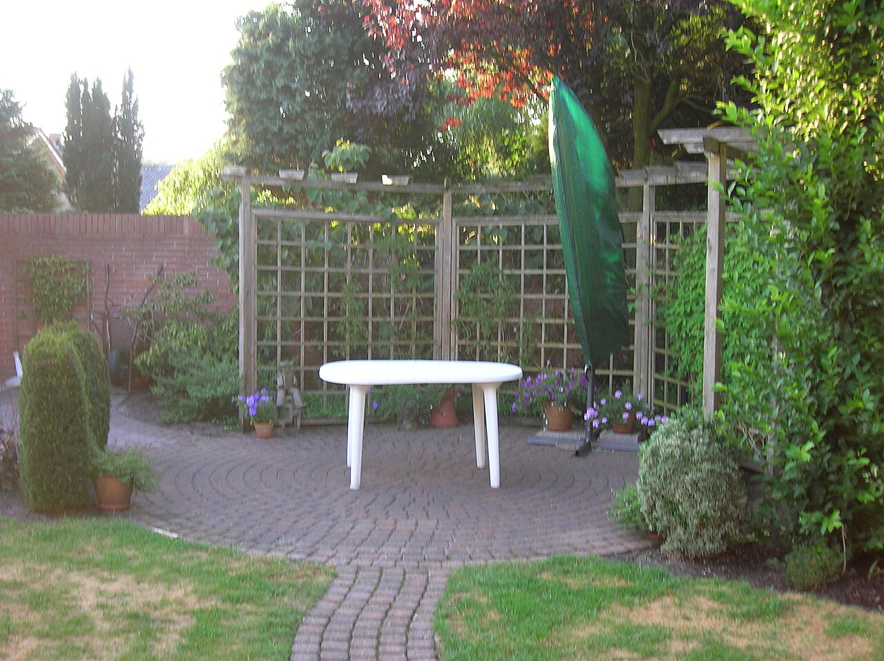 Backyard