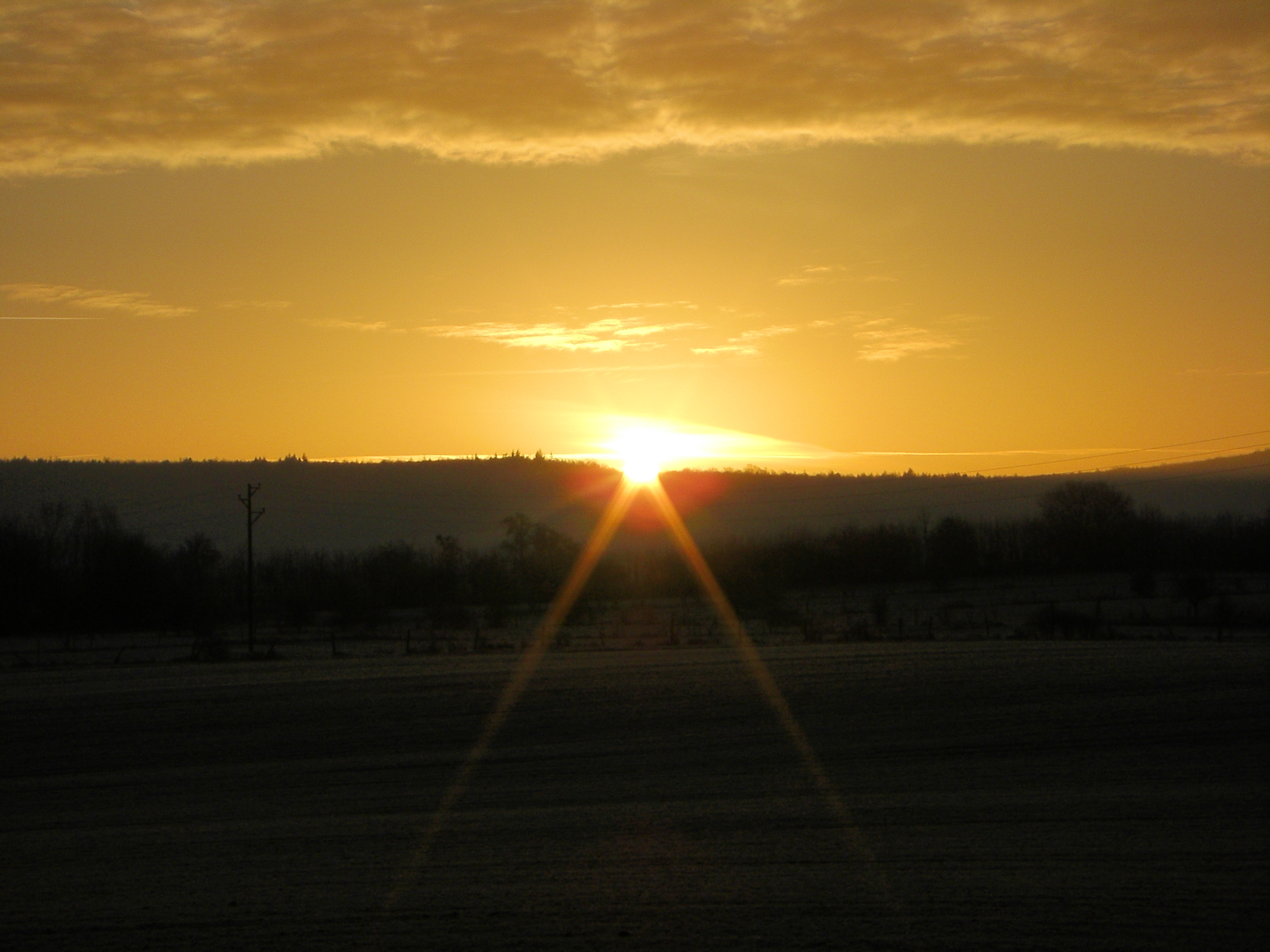 Morning