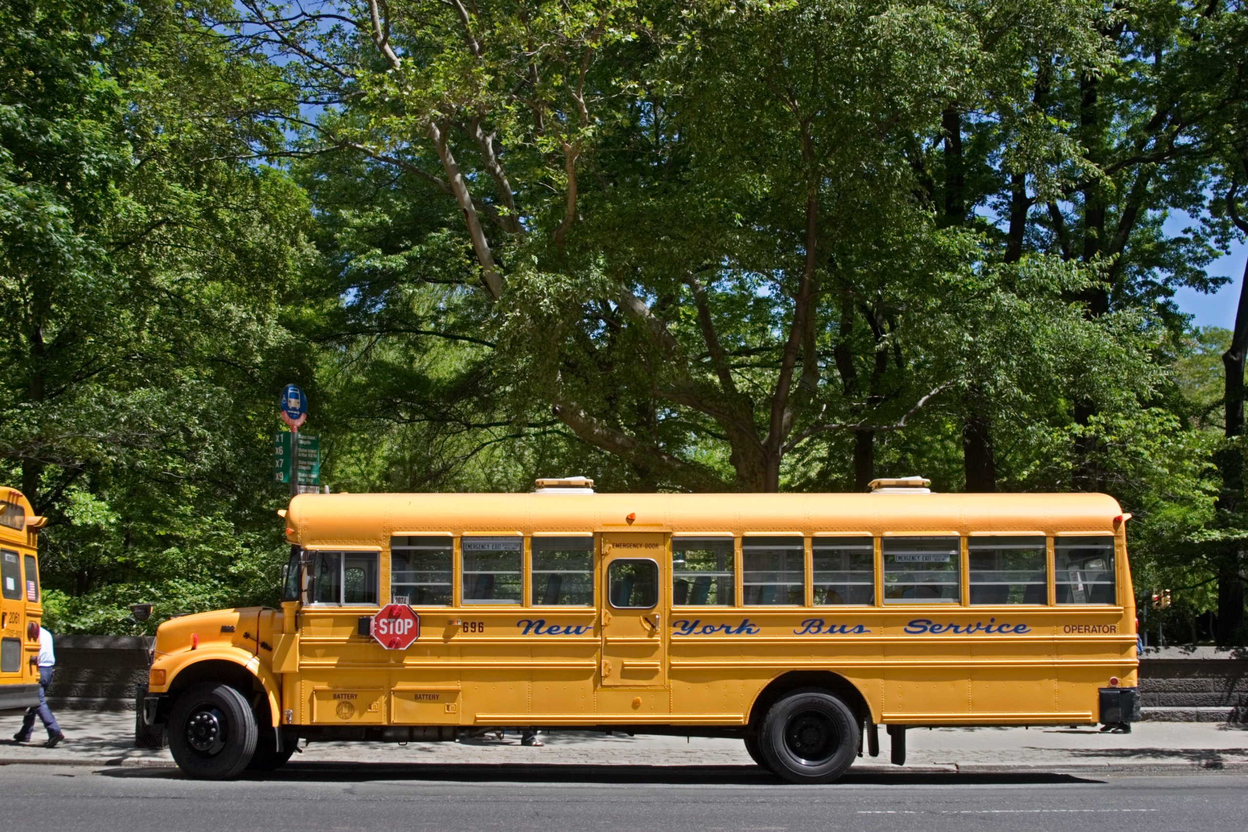 School Bus