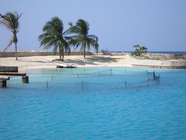 Jamaica