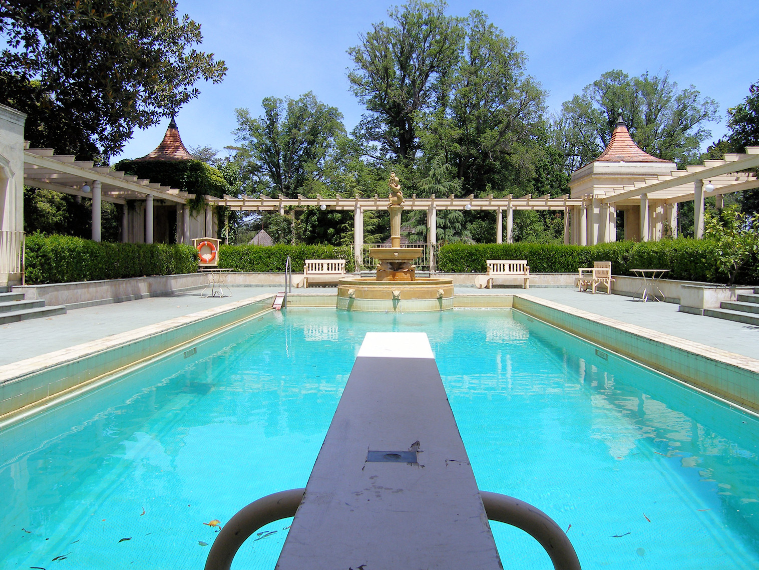 Diving Board