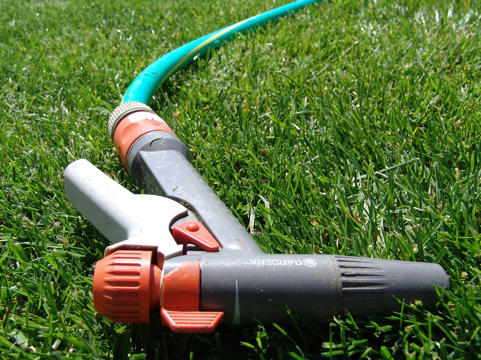 Garden Hose