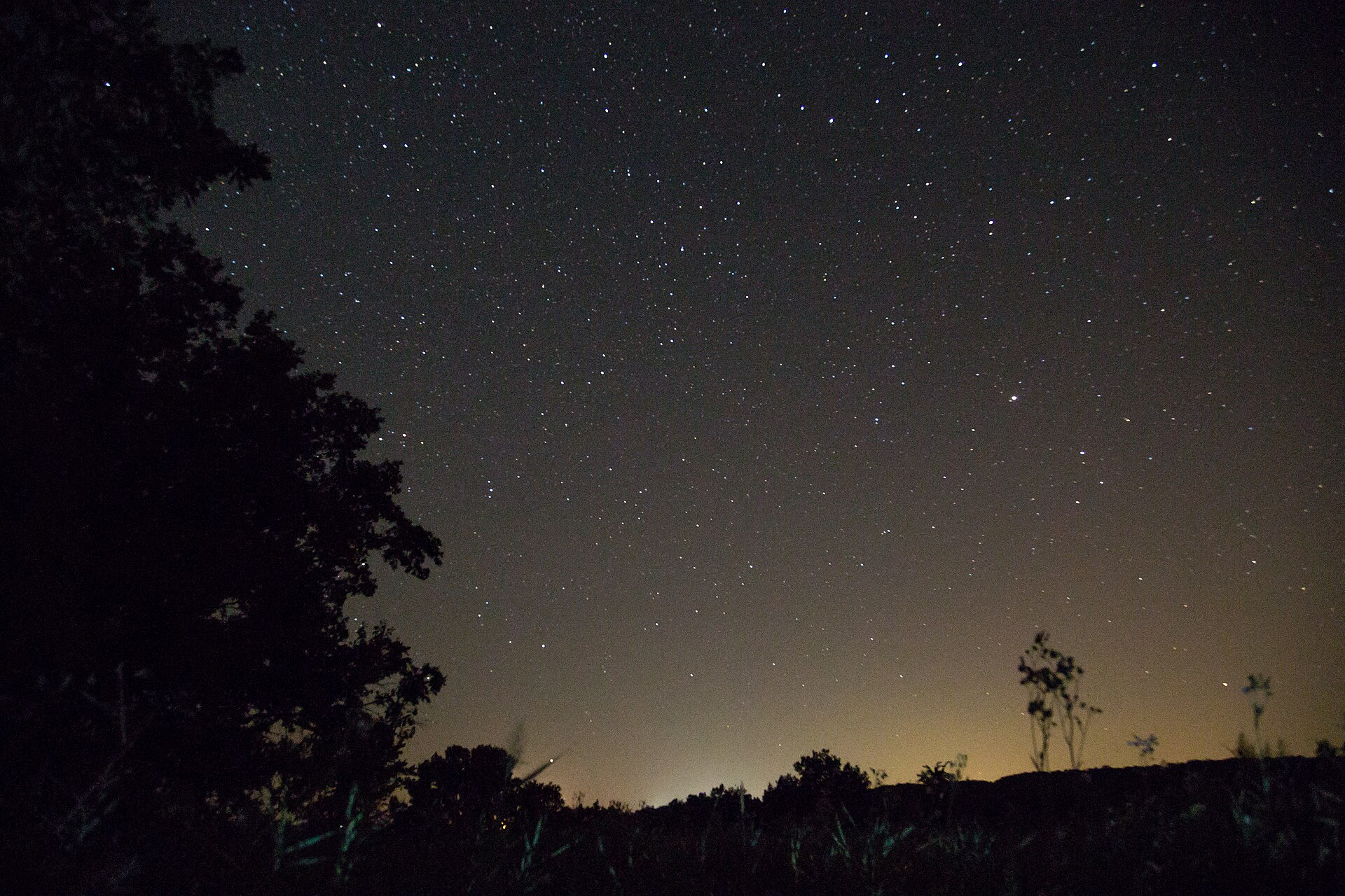 Night Sky