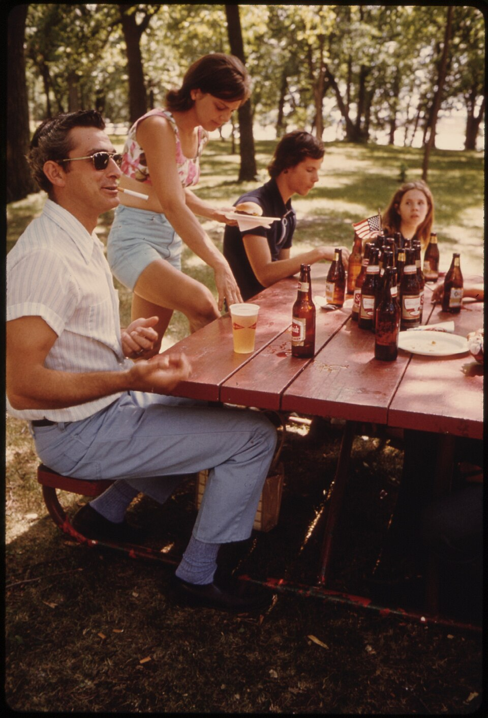 Family Picnic 