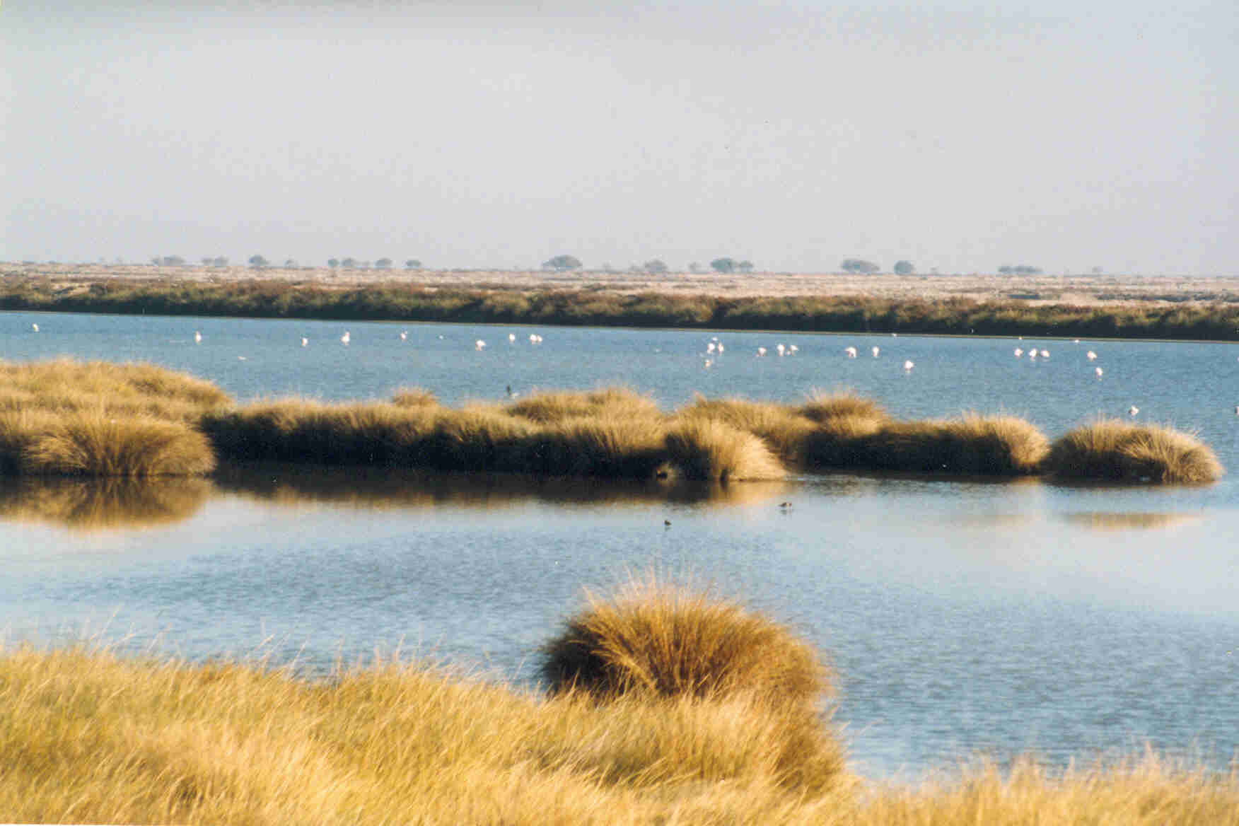 Doñana National Park, Spain