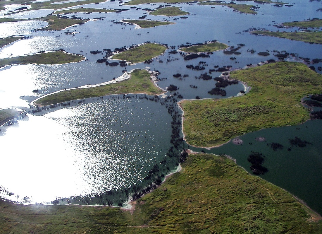 The Pantanal
