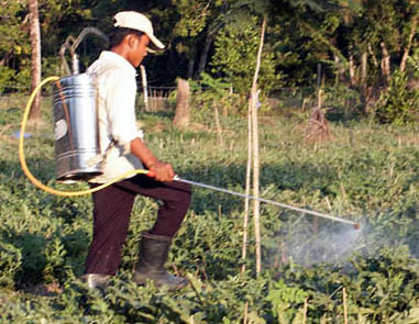 Home Pesticides