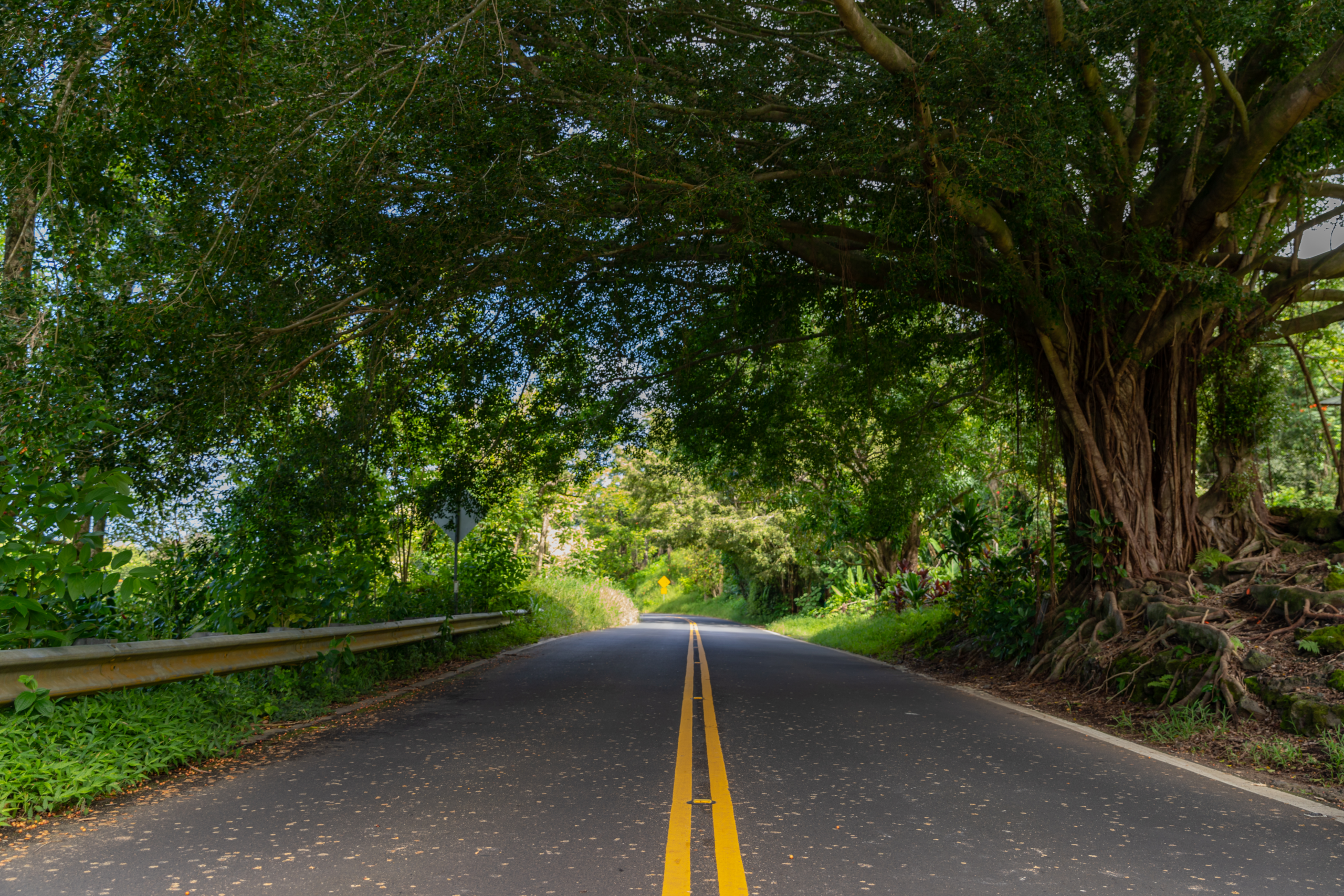 Hana Highway, Hawaii