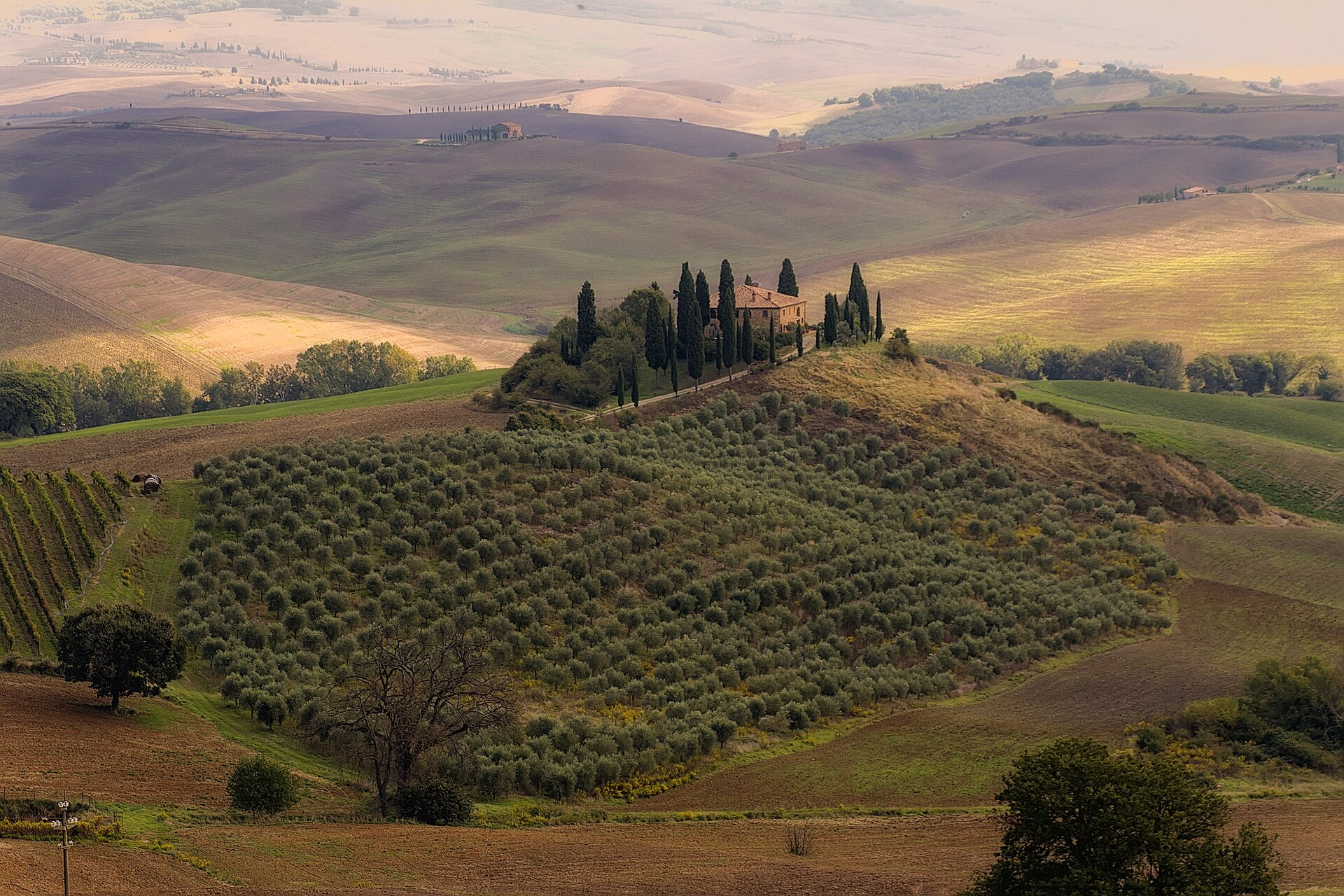 Florence and the Tuscan Hills