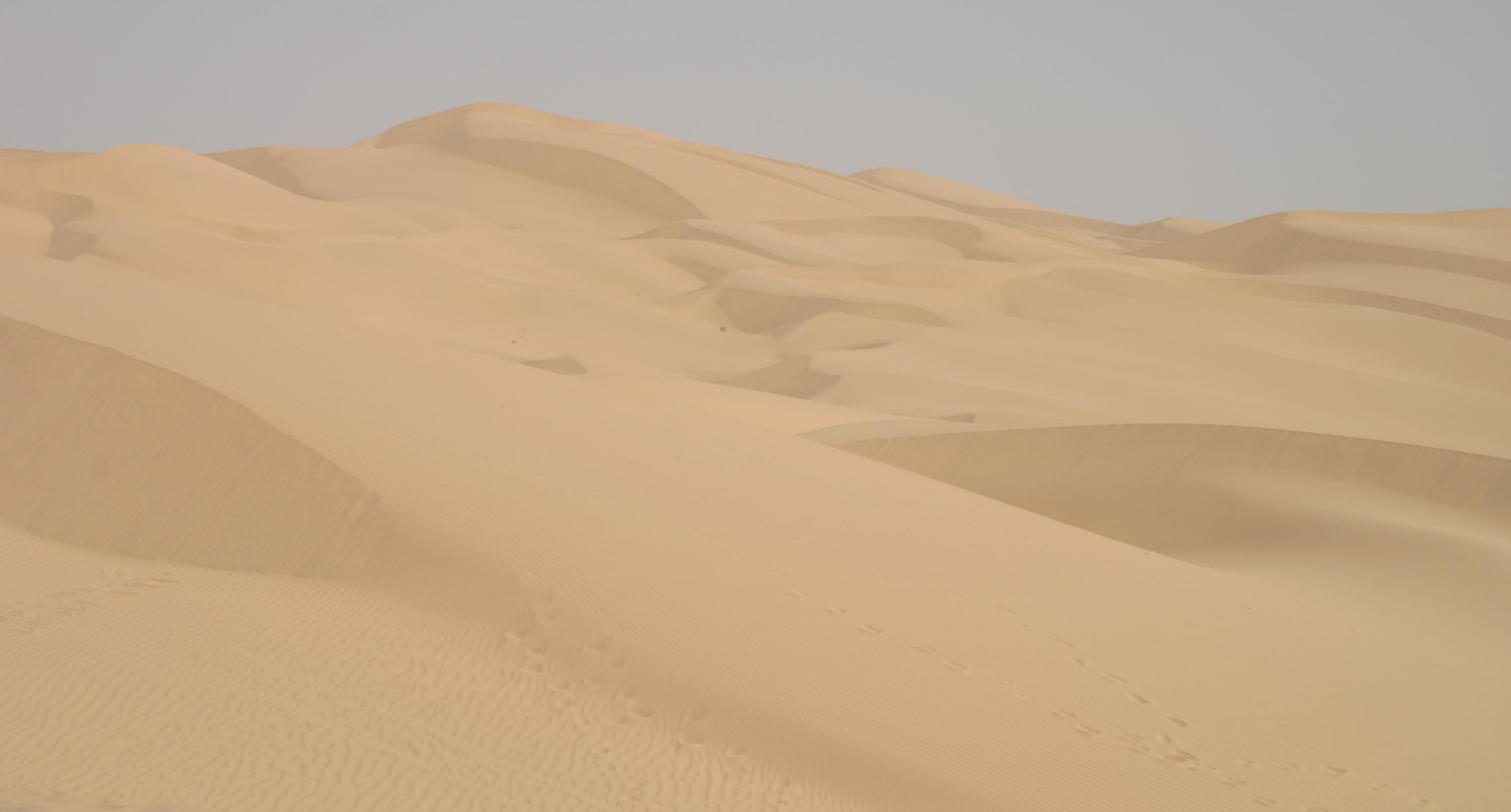 Yuma Desert