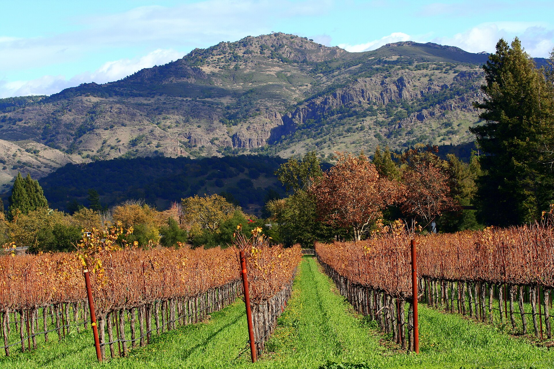Napa and Sonoma, California