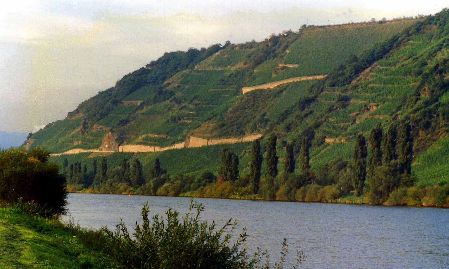 The Rhine and Mosel Valleys, Germany